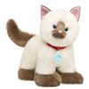 Promise Pets Ragdoll Kitten Stuffed Animal 5 Promise Pets Ragdoll Kitten Stuffed Animal - Build-A-Bear Workshop Australia