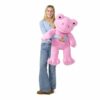 Giant Spring Pink Frog Stuffed Animal - Build-A-Bear Workshop Australia